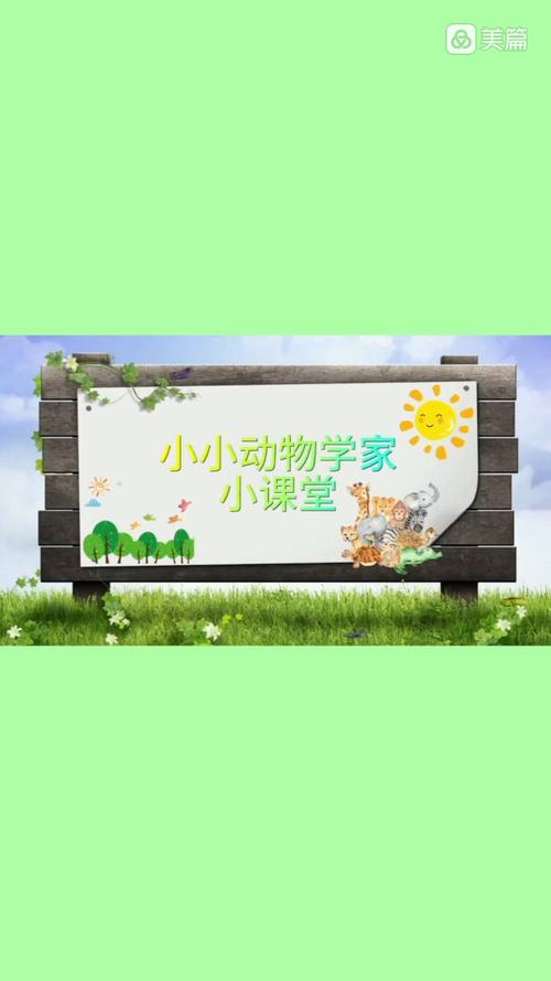动物小课堂