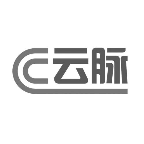 云脉拍照翻译CC