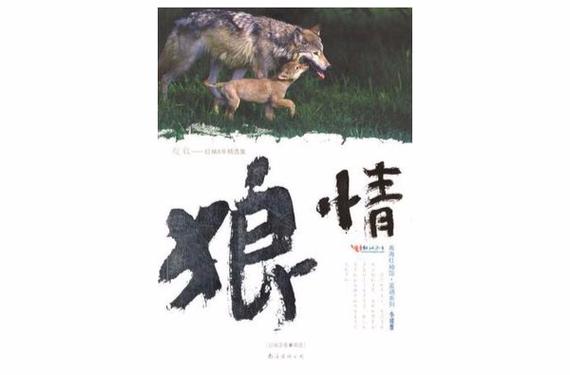 狼情小说v100