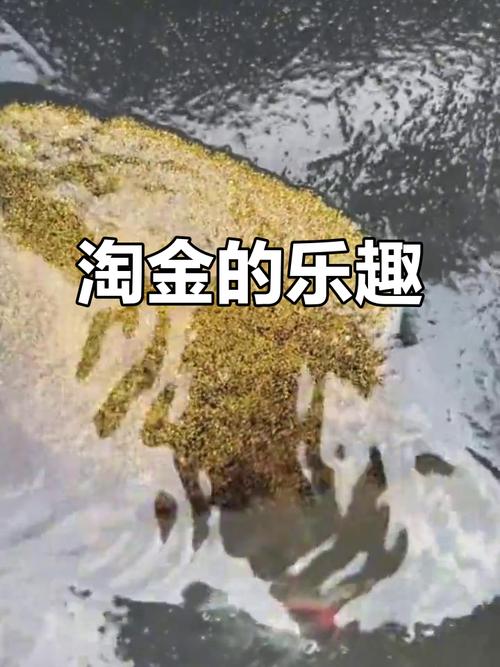 淘金之旅