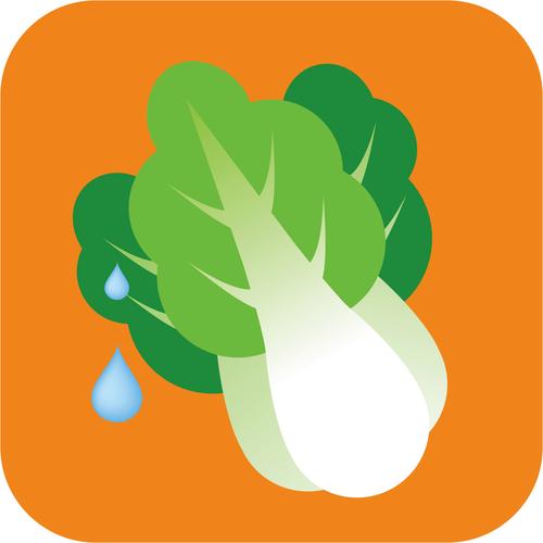 蔬菜大亨破解版
