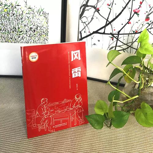 风雷阅读截图