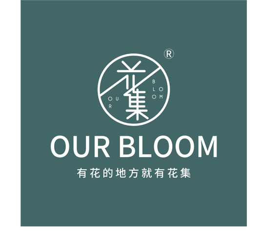 鲜花小镇星空异色花
