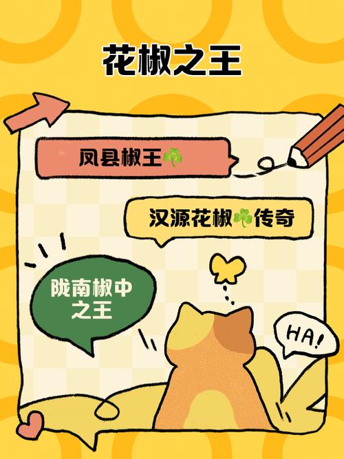 花椒小说阅读手机