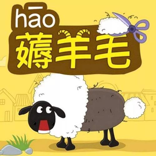我家有羊毛网app
