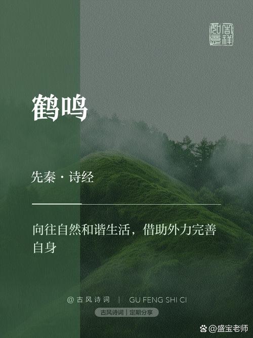 鹤鸣小说免费阅读