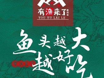 有鱼来了正式版图标