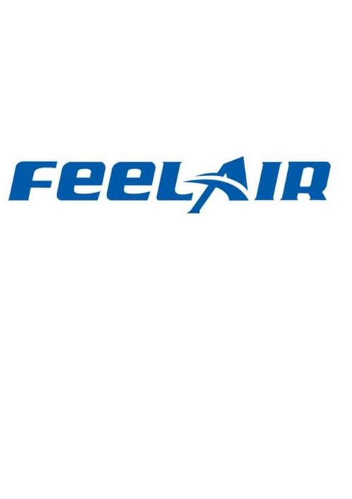 Feel客户端