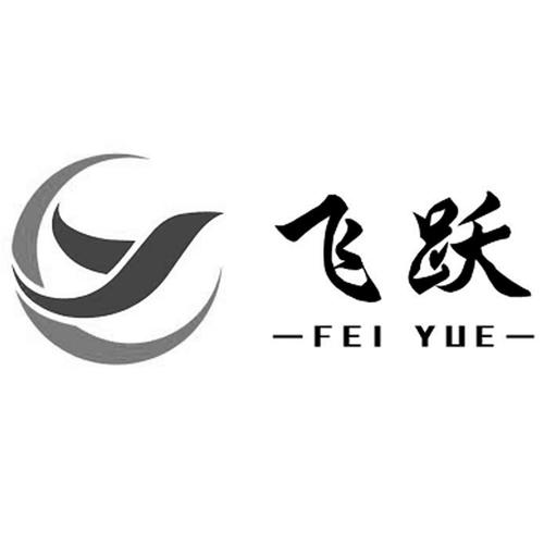 飞跃免费小说