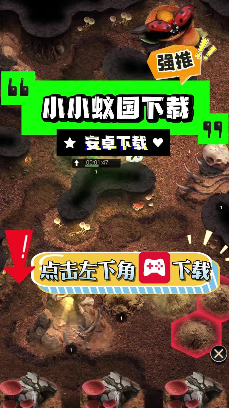 小小蚁群