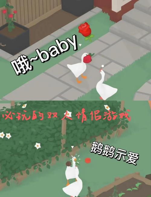趣养鹅