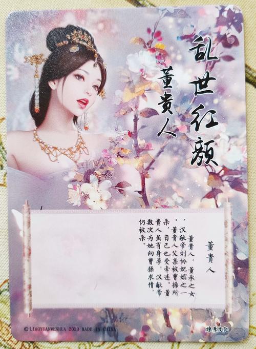 红颜乱佳人小说手