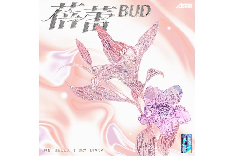 蓓蕾视频极速版