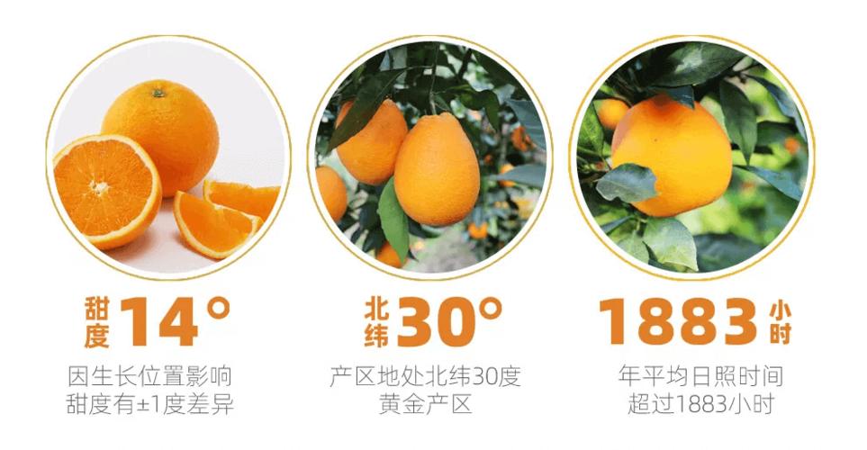星球果园官方版