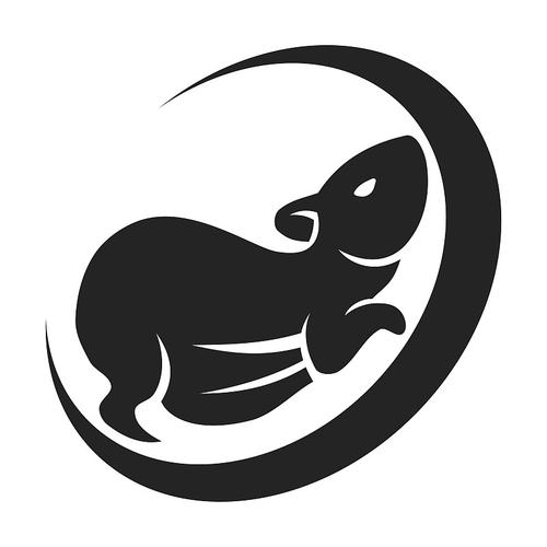 仓鼠团