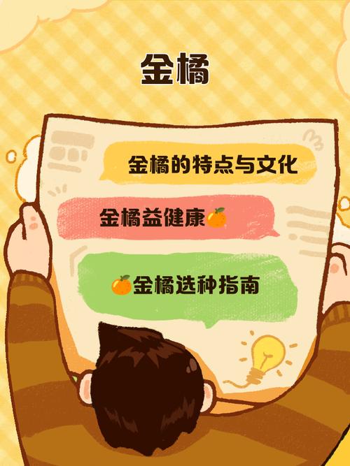 金桔小说平台手机