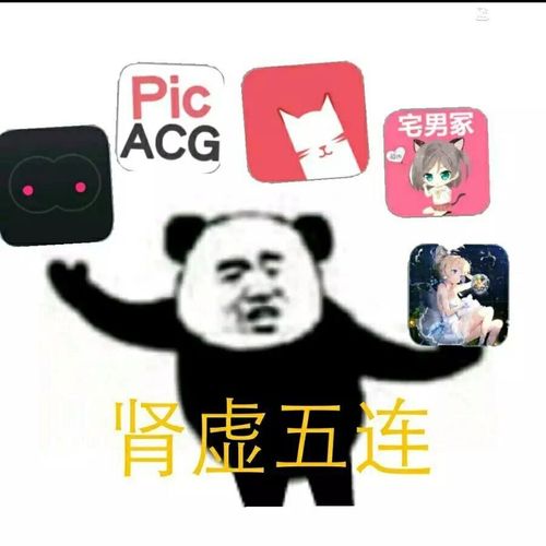肾虚五连整合截图