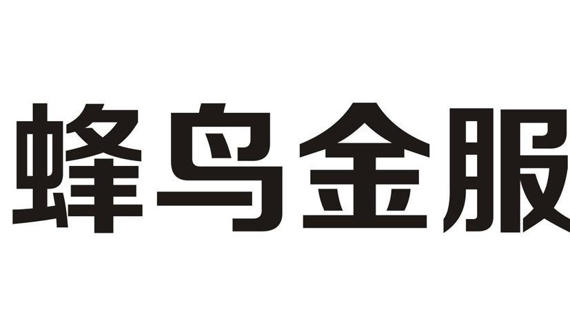 蜂鸟金服