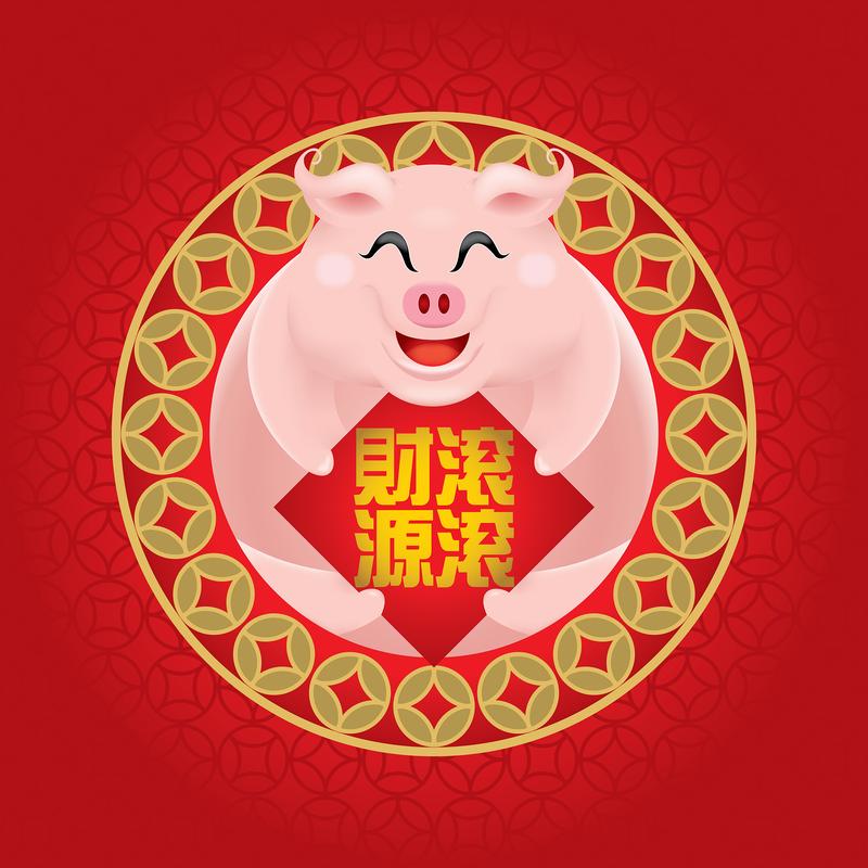 珍猪网手机红包版