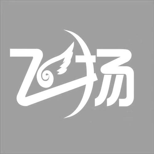 飞扬深度