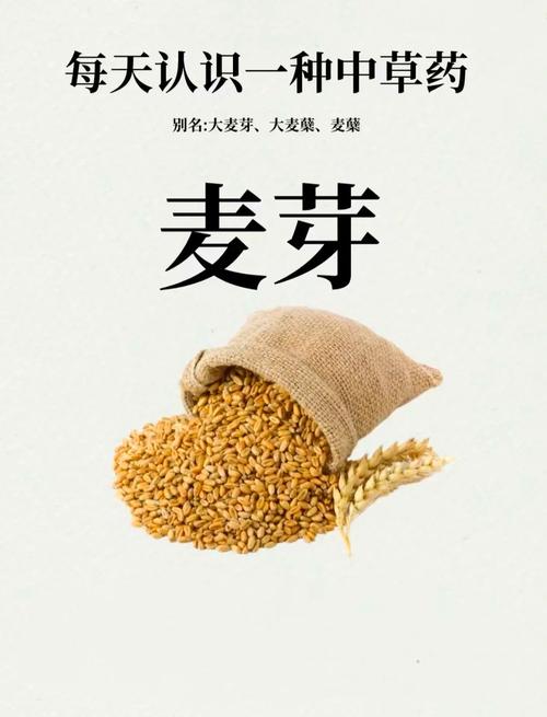 麦芽健康手机版