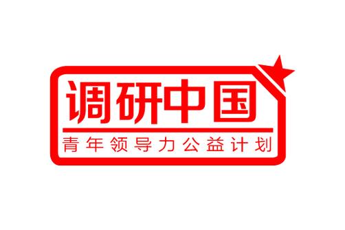 调研中国2016