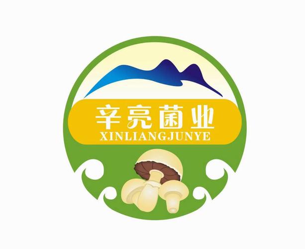 菌子农场养殖赚红