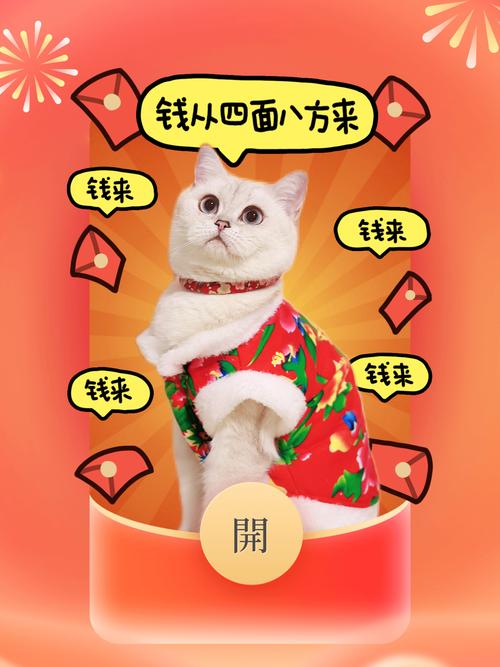 喵喵赚钱手机版