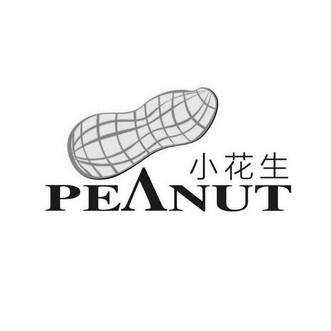 花生短视频看视频