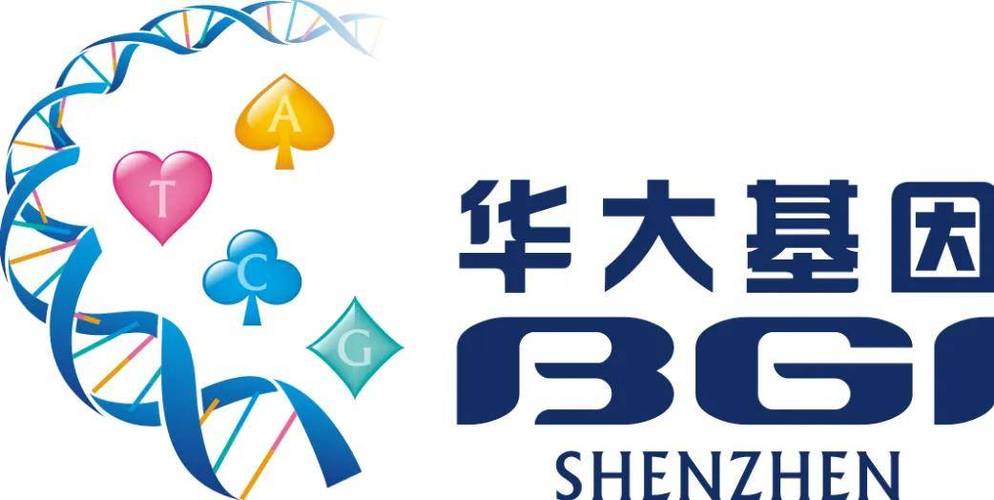 华大新图老师版