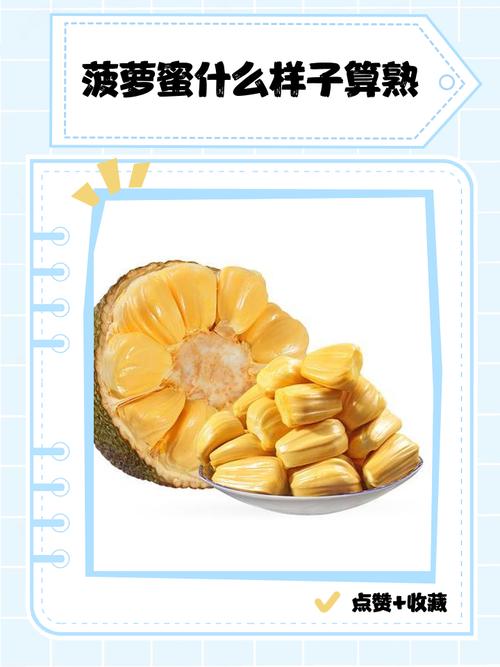 菠萝蜜商城手机版