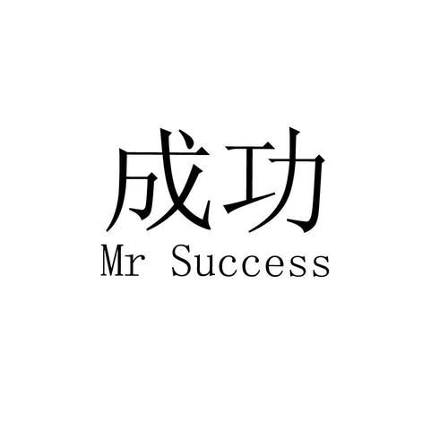 mrsuccess
