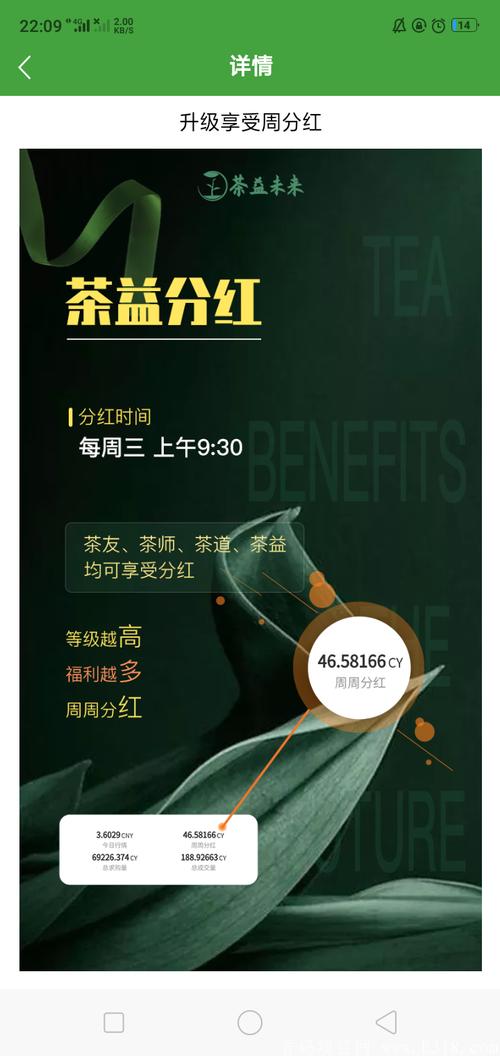茶益未来种树赚钱