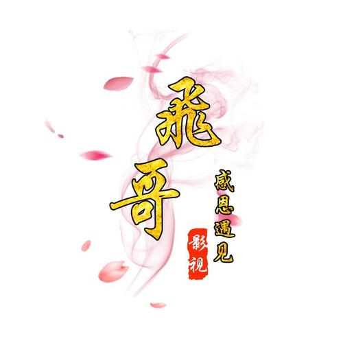 飞行君