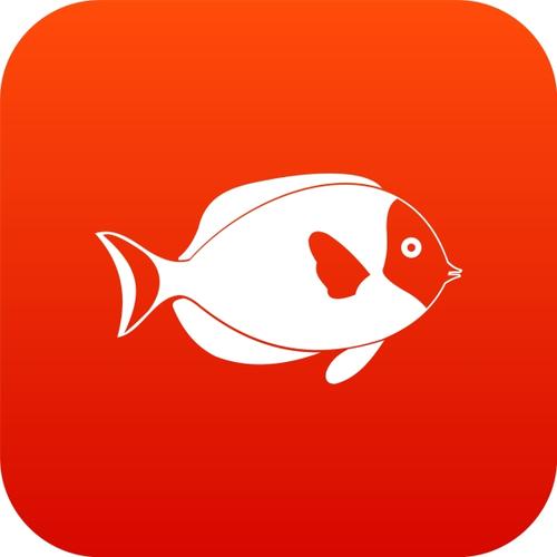 小鱼试玩app安卓版(小鱼赚钱)