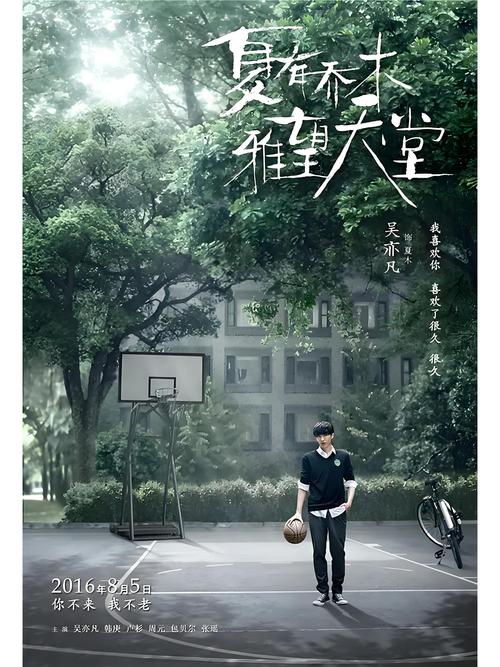 夏有乔木雅望天堂