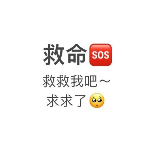 救救夫人