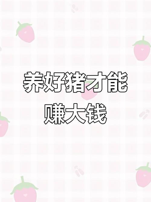 猪也要上天养猪赚