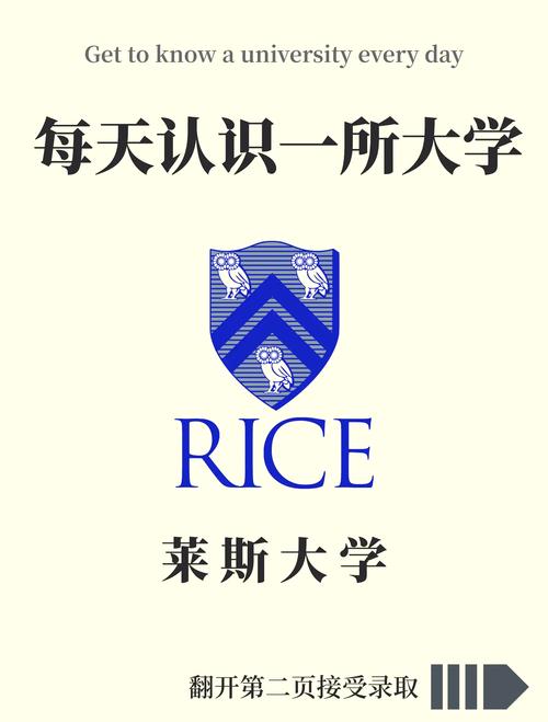 莱斯漫画