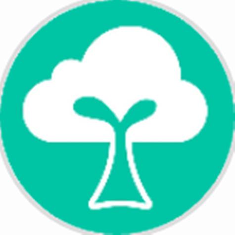 树朵朵官网手机版