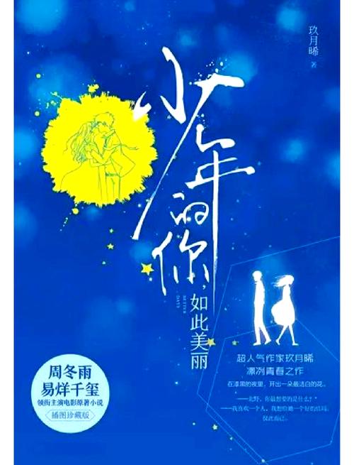 少年的你小说安卓