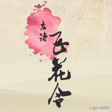 诗词飞花令下载