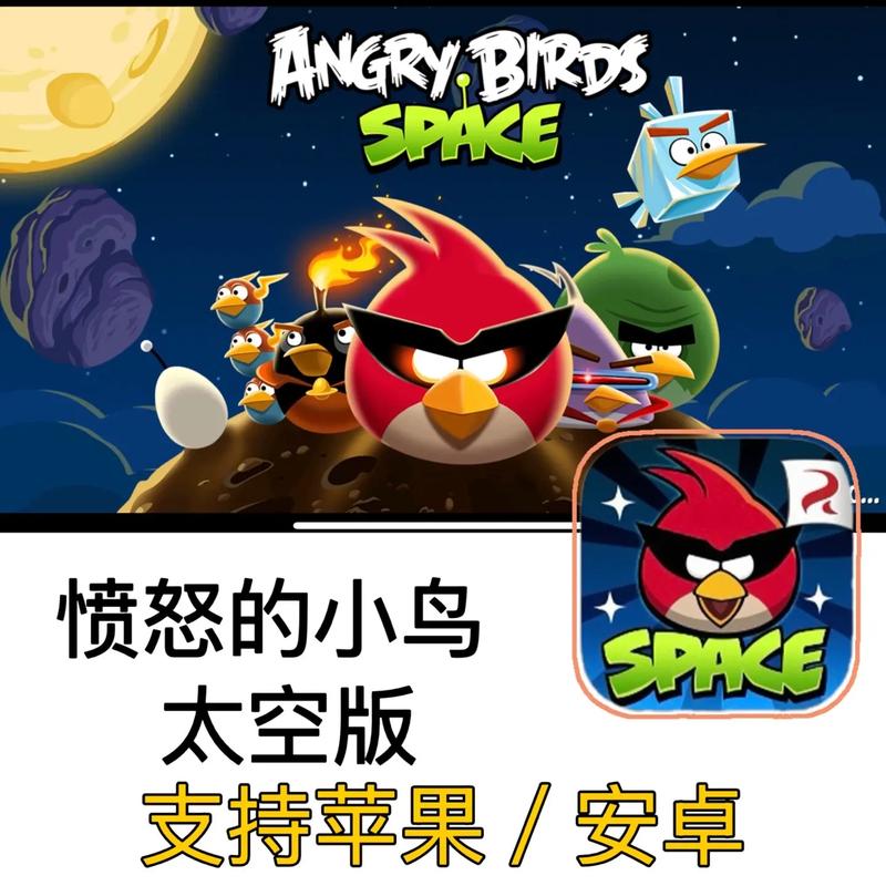 愤怒的小鸡太空版