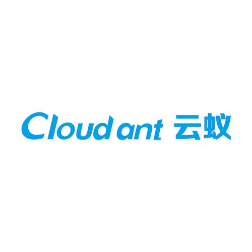 跳蚁云商