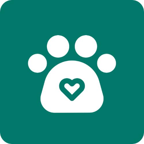 纸人运动宝app