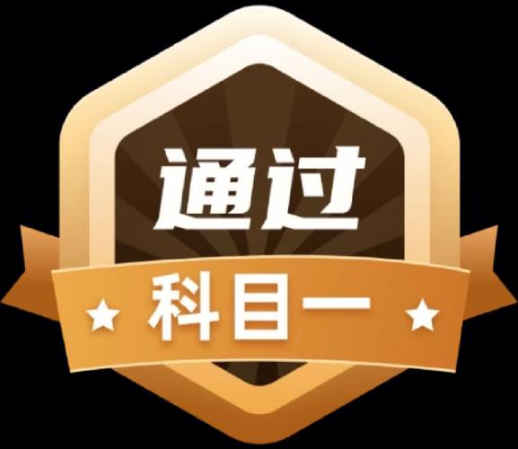 驾考一把过