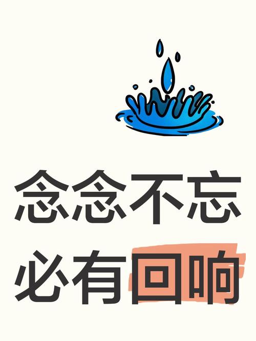 念念回响