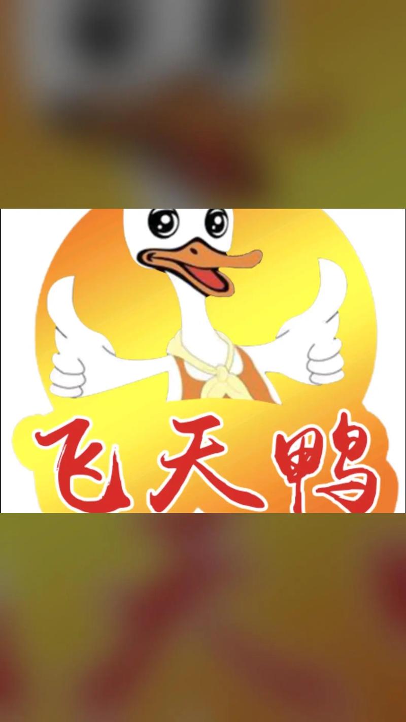 飞鸭AI挂机v5