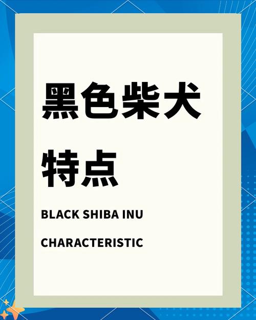 黑柴兼职app