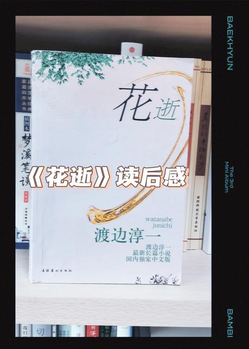 花逝小说免费v1